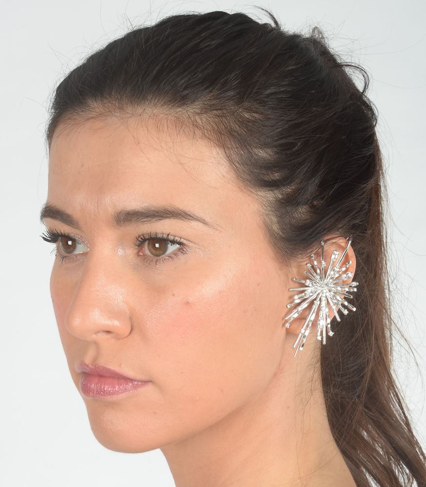 BIG FIREWORK CRYSTAL STONES EARRINGS
